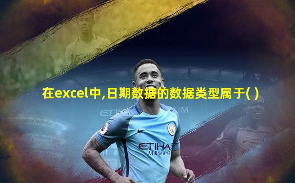 在excel中,日期数据的数据类型属于( )